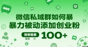 微信私域群如何暴力被动添加创业粉，简单粗暴，日引100+-21资源库