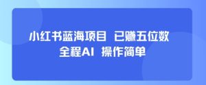 小红书蓝海项目，全程AI，操作简单，已挣五位数-21资源库