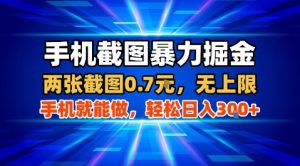 手机截图暴力掘金，两张截图0.7米，一部手机就能做，轻松日入3张+【揭秘】-21资源库