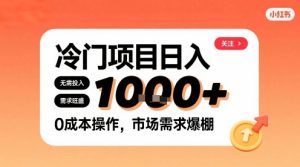 在小红书上发现个冷门路子,需求不小,零成本操作,每天能有1k进账-21资源库