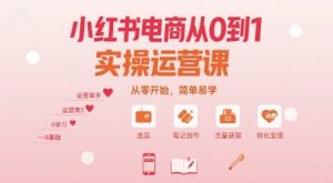 小红书电商从0到1实操运营课,从零开始,简单易学-21资源库