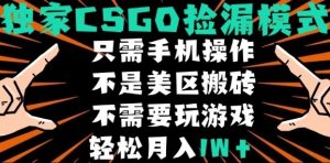 CSGO自动捡漏项目,最新独家玩法,不是美区搬砖,不需要了解和玩游戏,新手小白轻松月入1W+【揭秘】-21资源库
