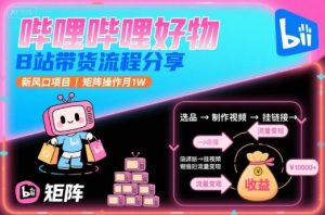 哔哩哔哩好物,B站带货流程分享,新风口项目,矩阵操作月1W-21资源库