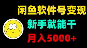 闲鱼软件号变现，新手就能干，月入5k+-21资源库