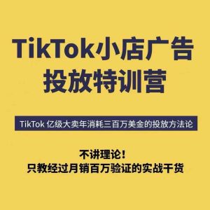 TikTok小店广告投放特训营，6天破局计划专治各种“投不动”，教你经过月销百万验证的实战干货-21资源库