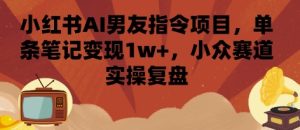 小红书AI男友指令项目，单条笔记变现1w+，小众赛道实操复盘-21资源库