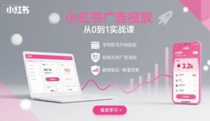 小红书广告投放从0到1的实战课，学完即可开始投放，拒绝无效广告消耗-21资源库