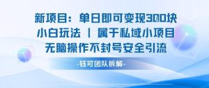 新项目单日即可变现3张的小白玩法无脑操作不封号安全引流-21资源库