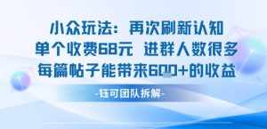 小众玩法再次刷新认知单个收费68米进群人数很多每篇帖子能带来6张的收益-21资源库
