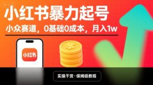 小红书暴力起号,小众赛道,0基础0成本,月入1w-21资源库