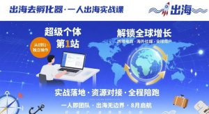 出海去孵化器,一人出海实战课,超级个体第1站,解锁全球增长-21资源库