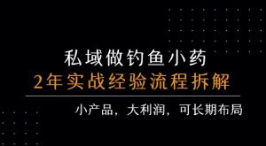 私域做钓鱼小药 每单利润3张+ 详细流程拆解-21资源库