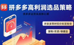拼多多选品暴利技术实战课，拼多多高利润选品策略，拼多多限时低价标签秘诀-21资源库