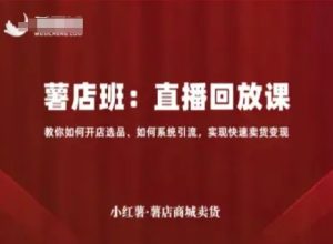 小红薯薯店商城卖货直播回放课，教你如何开店选品、如何系统引流，实现快速卖货变现-21资源库
