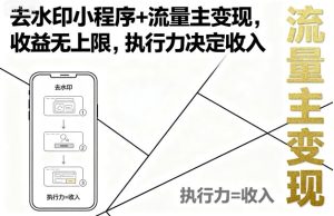 去水印小程序+流量主变现，收益无上限，执行力决定收入-21资源库