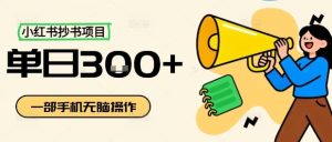 小红书抄书项目,无脑操作,一天3张-21资源库