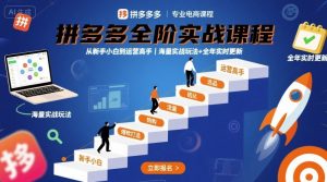 拼多多全阶实战课程，从新手小白到运营高手，海量实战玩法+全年实时更新【2025年9月更新】-21资源库