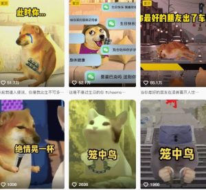 狗头幸运星UE5动画全套课程,从入门到实操全掌握-21资源库