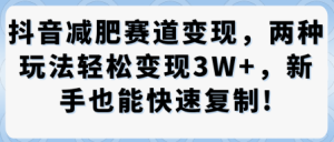 抖音减肥赛道变现,两种玩法轻松变现3W+,新手也能快速复制-21资源库