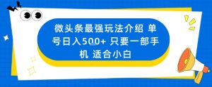 微头条最强玩法介绍一个号日入5张+只要一部手机适合小白-21资源库