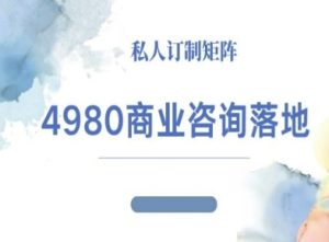 4980商业咨询师落地课程-ip运营高客单教程-21资源库