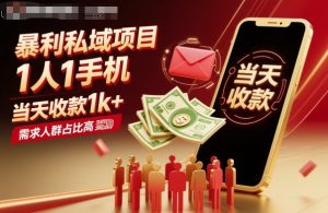暴利私域项目1人1手机,当天收款1k+,需求人群占比高,当天就能见到钱-21资源库