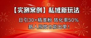 【实测案例】私域新玩法,日引30+精准粉,转化率50%,新人照做也能出单!-21资源库