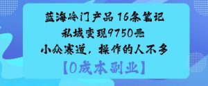 蓝海冷门产品:16条笔记私域变现9750米小众赛道,操作的人不多-21资源库