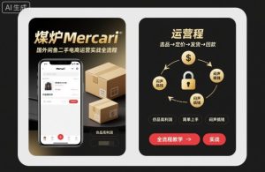 煤炉Mercari国外闲鱼二手电商运营实战全流程,仿品高利润,简单上手,闷声搞钱-21资源库