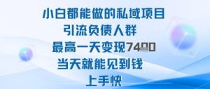 2025年小白都能做的私域项目引流负债人群最高一天变现1k+高变现难度低当天就能见到钱上手快-21资源库