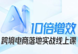 跨境电商10倍增效，跨境电商AI落地实战线上课-21资源库