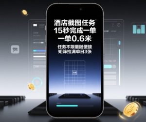 酒店截图任务，15秒完成一单，一单0.6米，任务不限量随便接，矩阵拉满单日3张【揭秘】-21资源库