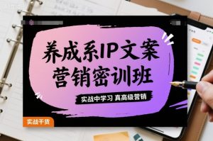 养成系IP文案营销密训班,实战中学习真高级营销-21资源库
