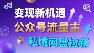 公众号流量主+私域网盘拉新，多方式变现，简单易上手，当天就有收益-21资源库