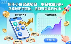 新手小白实战项目，单日收益3张+，正规长期可落地，后期可实现日收1k+【揭秘】-21资源库