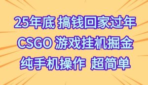 25年底搞钱回家过年,CSGO游戏挂G掘金,纯手机操作超简单【揭秘】-21资源库