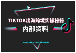 TikTok跨境电商0-1搭建运营，TK出海跨境实操秘籍（10月更新）-21资源库
