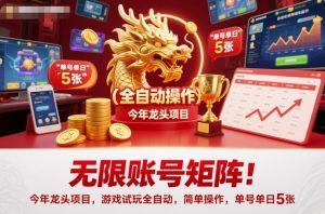 无限账号矩阵！今年龙头项目，游戏试玩全自动，简单操作，单号单日5张【揭秘】-21资源库