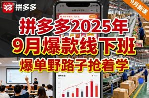 拼多多2025年9月爆款线下班,爆单野路子抢着学-21资源库