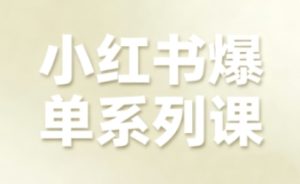小红书爆单系列课,聚焦小红书电商全链路增长-21资源库