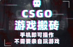 CSGO游戏挂G捡漏,单日扫货5张+,年底小高峰上车可吃肉,手机即可操作,兼职副业创业网创【揭秘】-21资源库