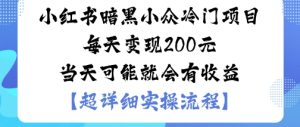 小红书暗黑小众冷门项目每天变现2张当天可能就会有收益-21资源库