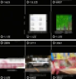 抖音引流创业粉教程,创业粉终于跑通了,私域是永远的王-21资源库