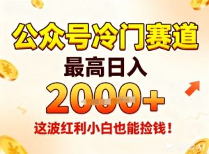 公众号冷门赛道,最高日入1k+,这波红利小白也能捡钱!-21资源库