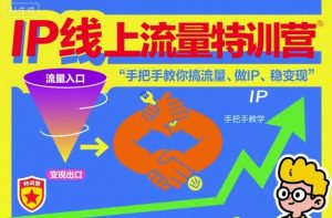 IP线上流量特训营，手把手教你搞流量、做IP、稳变现-21资源库
