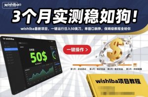 3个月实测稳如狗！wishlba最新项目，一键运行日入50美刀，单窗口躺挣，保姆级教程全给你【揭秘】-21资源库