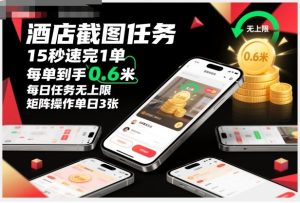 酒店截图任务，15秒速完1单，每单到手0.6米，每日任务无上限，全网首发玩法，矩阵操作单日3张【揭秘】-21资源库