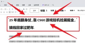 25年底翻身仗，靠CSGO游戏挂G捡漏掘金，搞钱回家过肥年【揭秘】-21资源库