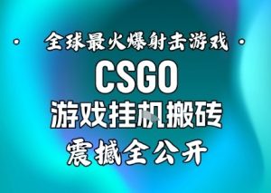 【年底大揭秘】基于全球最火爆的射击CSGO游戏挂G搬砖，日入5张+，震撼公开-21资源库
