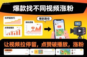 爆款找不同视频涨粉，让视频拉停留，实现点赞，破播放，涨粉-21资源库